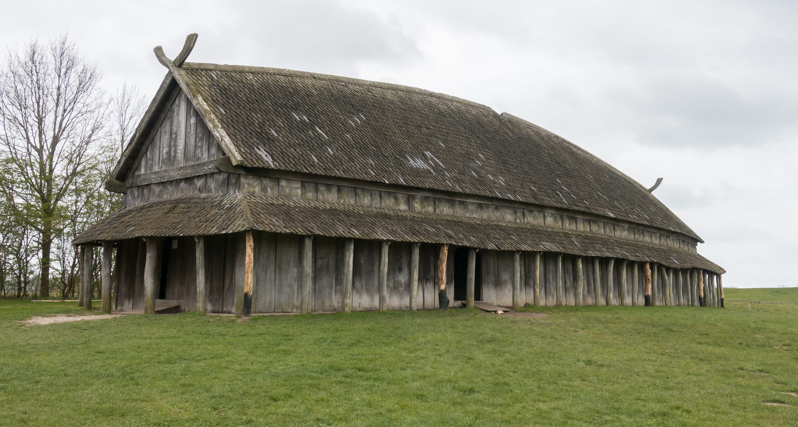 Modernizing the Viking House